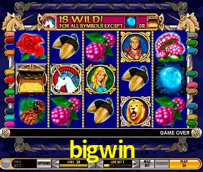 Roulette Table bigwin